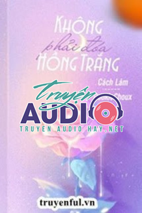 không phải đóa hồng trắng 