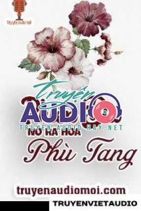 Nhất Phẩm Phong Lưu Audio